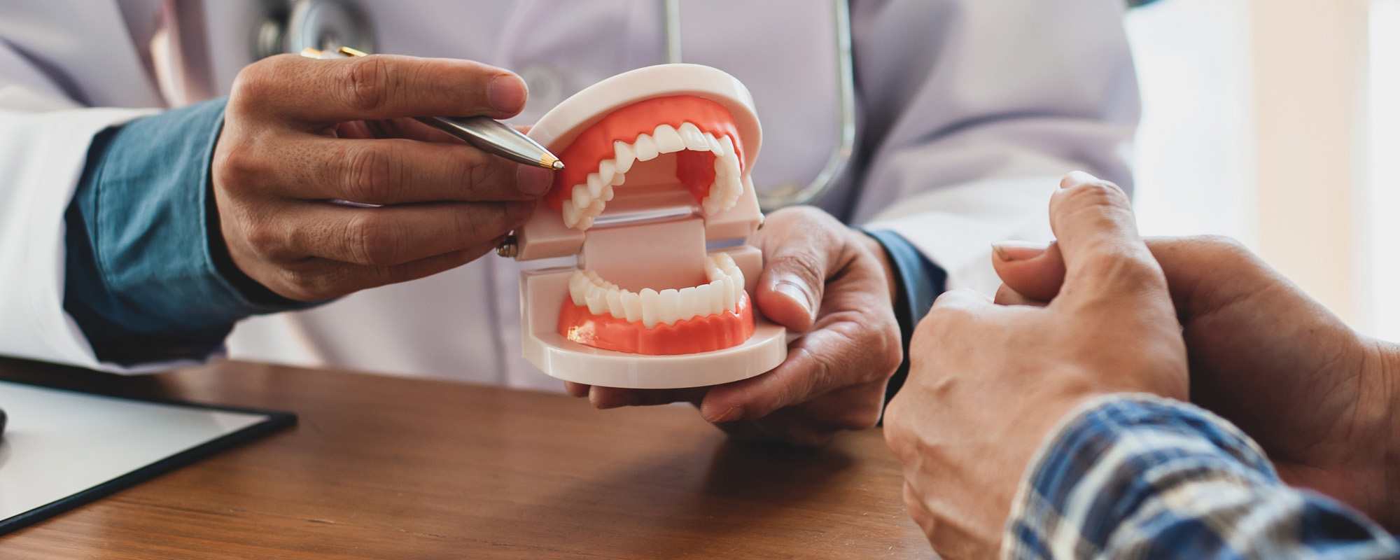 The dentist holds a sample of the teeth and talks while giving dental advice to patient